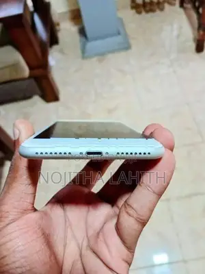 Apple iPhone 7 Plus (Used)