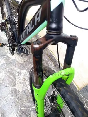 Lumala Bicycle