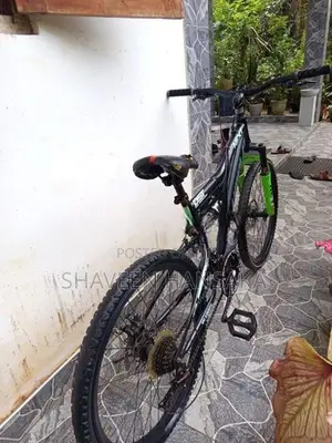 Lumala Bicycle