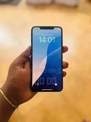 Apple iPhone XS Max (Used)