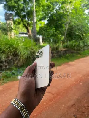 Apple iPhone 13 Pro 256GB (Used)