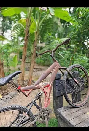 Lumala sport bicycle