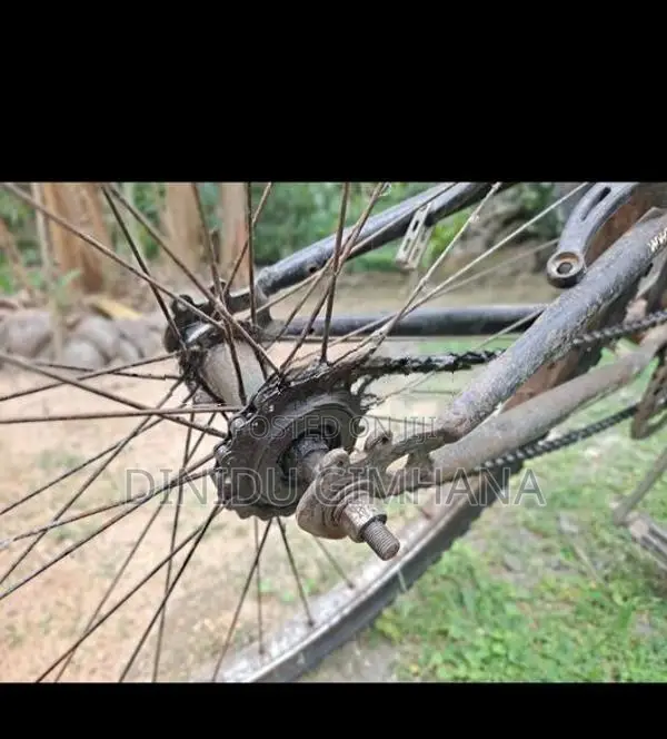 Lumala sport bicycle