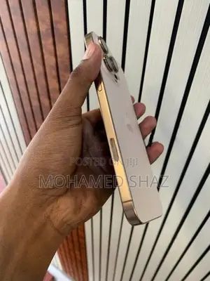 Apple iPhone 16 Pro Max (Used)