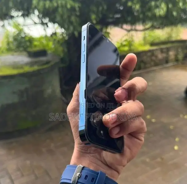 Apple iPhone 12 Pro (Used)