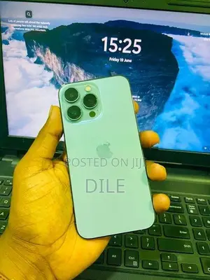 Apple iPhone 13 Pro 256GB (Used)