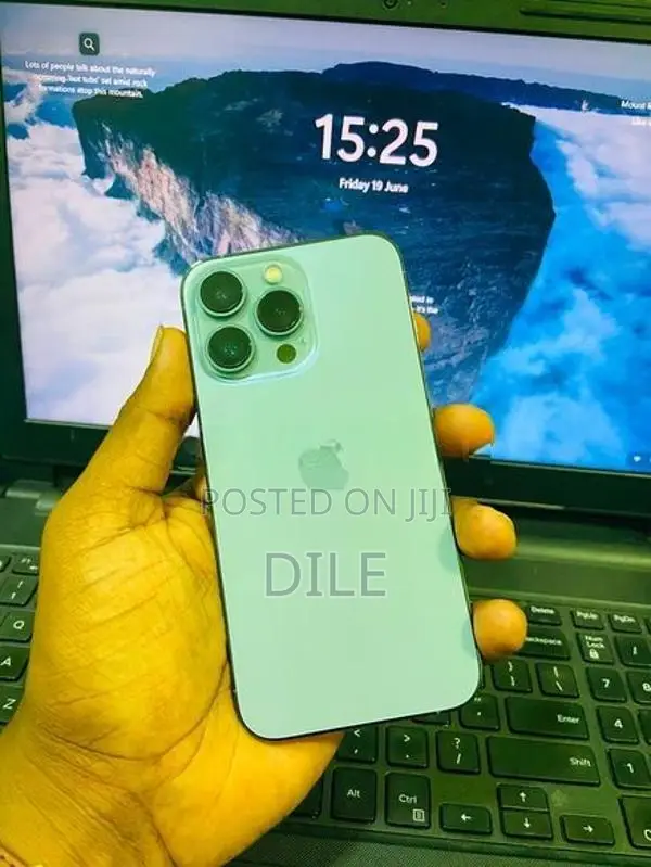 Apple iPhone 13 Pro 256GB (Used)