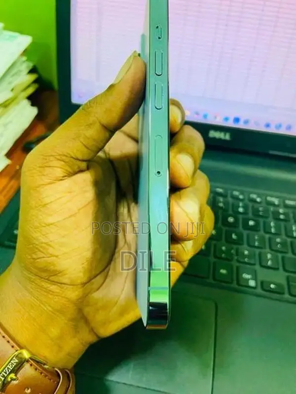 Apple iPhone 13 Pro 256GB (Used)
