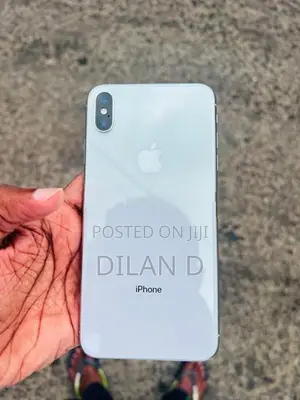 Apple iPhone XS Max 256GB (Used)