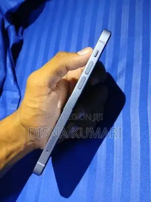 Apple iPhone 12 (Used)