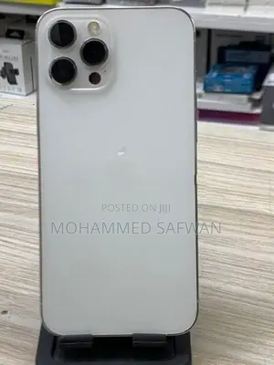 Apple iPhone 12 Pro Max (Used)