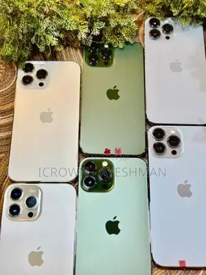 Apple iPhone 13 Pro Max 512GB (Used)