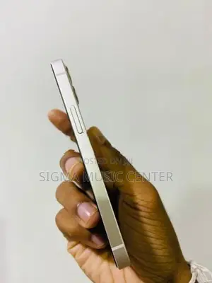 Apple iPhone 12 mini (Used)