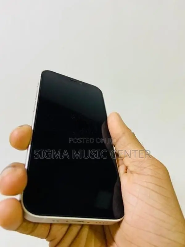 Apple iPhone 12 mini (Used)