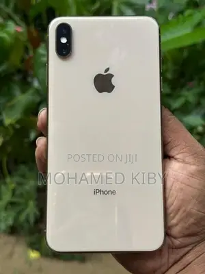 Apple iPhone XS Max 256GB (Used)