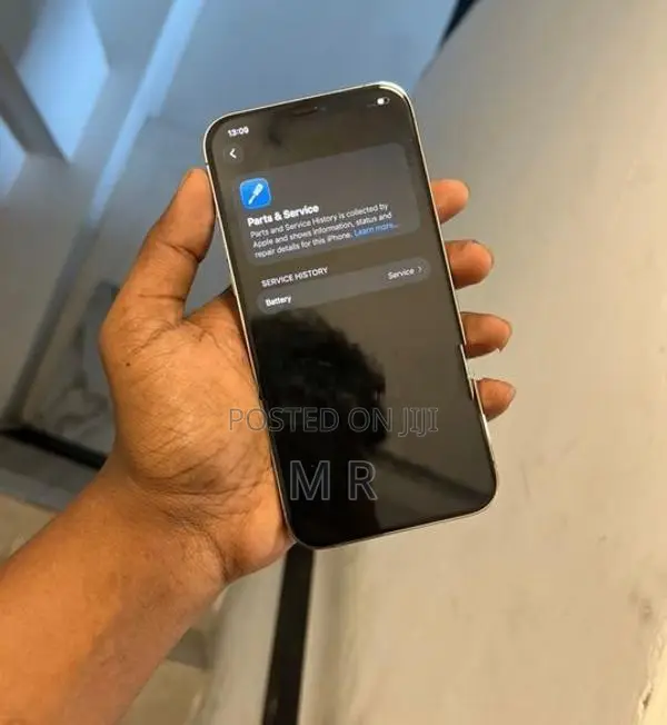 Apple iPhone 12 Pro Max 256GB (Used)