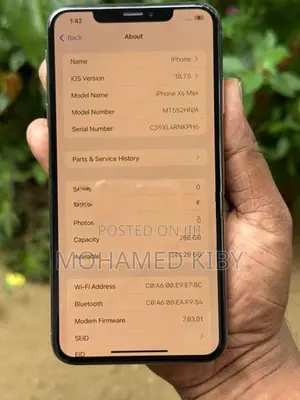 Apple iPhone XS Max 256GB (Used)