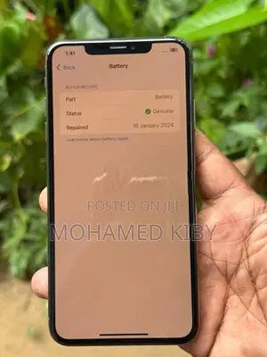 Apple iPhone XS Max 256GB (Used)