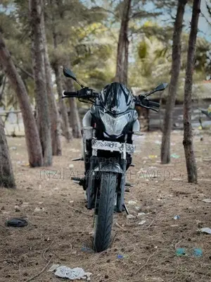 Bajaj Pulsar NS200 Black Edition BS4 2019