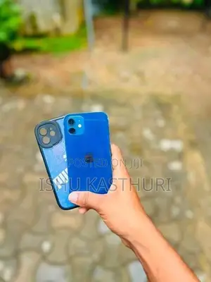 Apple iPhone 12 (Used)