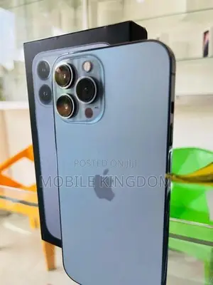 Apple iPhone 13 Pro Max 256GB (Used)