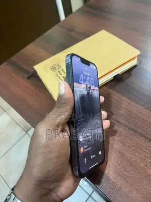 Apple iPhone 13 Pro Max (Used)