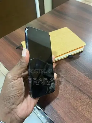 Apple iPhone 13 Pro Max (Used)