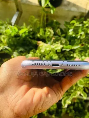 Apple iPhone 11 (Used)