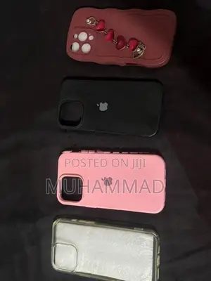 Apple iPhone 16 Pro Max Phone Case (Used)