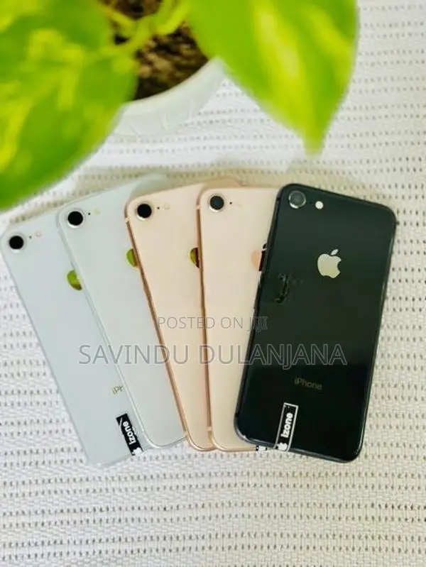 Apple iPhone 8 64GB (Used)