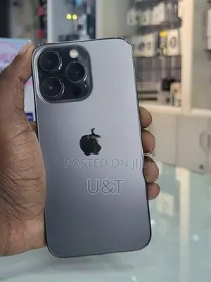 Apple iPhone 13 Pro 256GB (Used)
