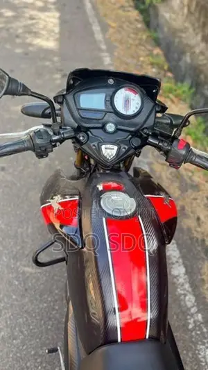 TVS Apache RTR 160 2019