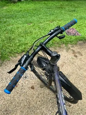 Coll Giant Tax Mountain Bike
