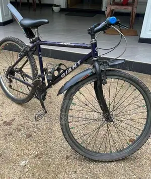 Coll Giant Tax Mountain Bike