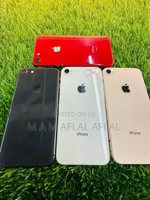 Apple iPhone 8 (Used)