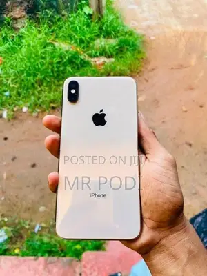 Apple iPhone XS Max 256GB (Used)