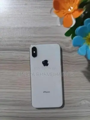 Apple iPhone X (Used)