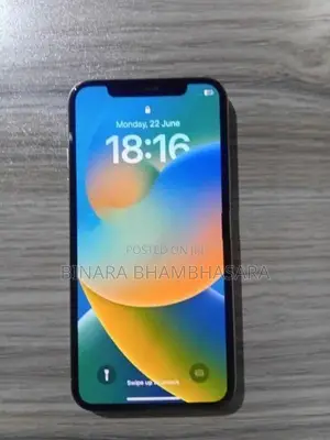 Apple iPhone X (Used)