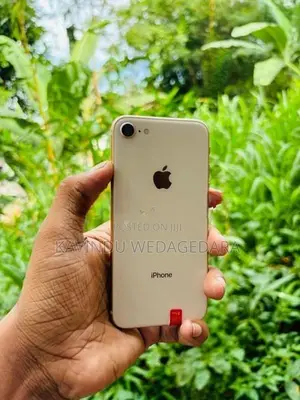Apple iPhone 8 (Used)