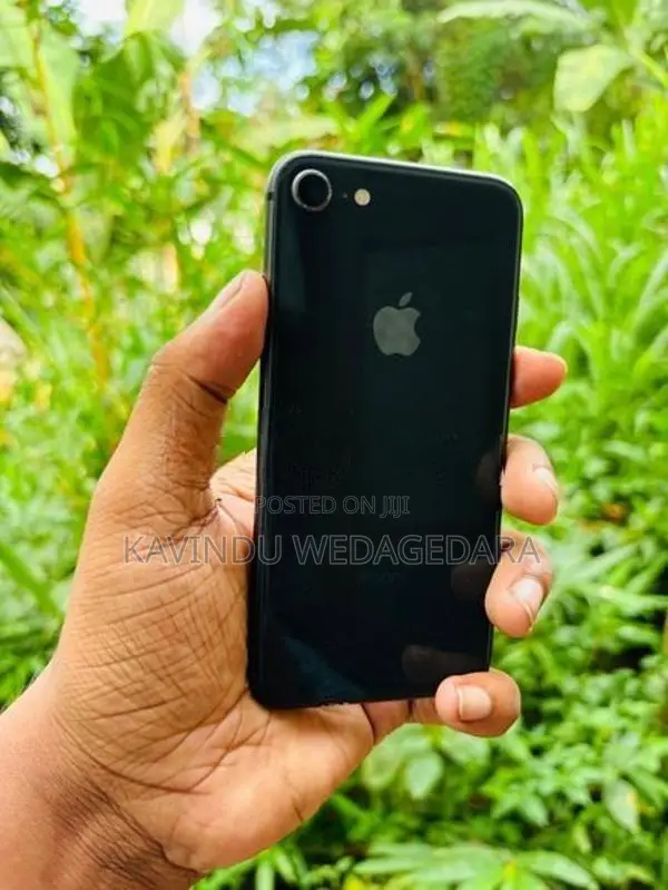 Apple iPhone 8 (Used)