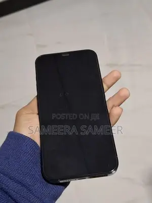 Apple iPhone 12 Pro Max (Used)