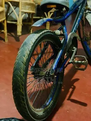 BMX Bicycle