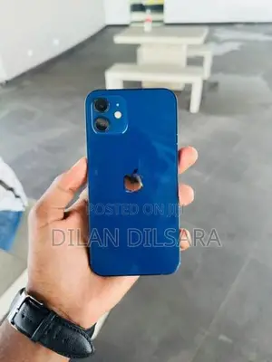 Apple iPhone 12 (Used)