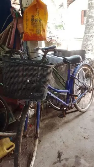 පාපැදි