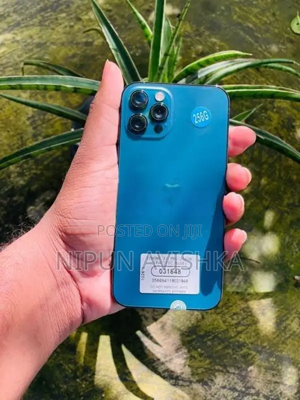 Apple iPhone 12 Pro (Used)