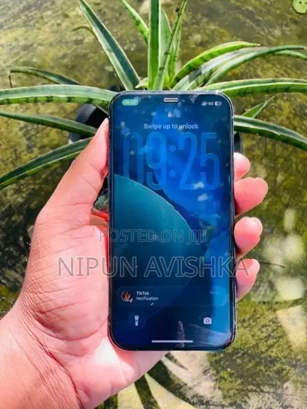 Apple iPhone 12 Pro (Used)