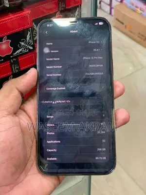 Apple iPhone 12 Pro Max (Used)