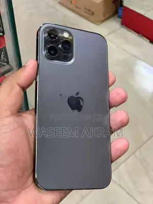 Apple iPhone 12 Pro Max (Used)