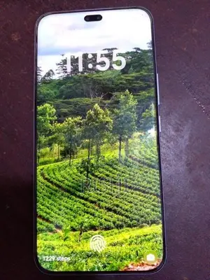 Honor 400 Pro 12 gb 512 (Used)