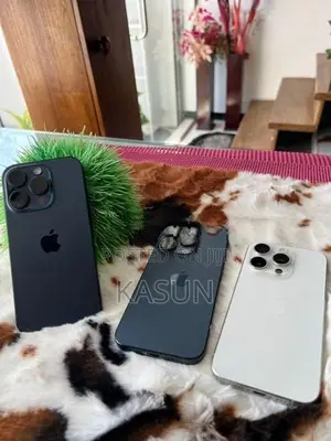 Apple iPhone 15 Pro 256GB (Used)